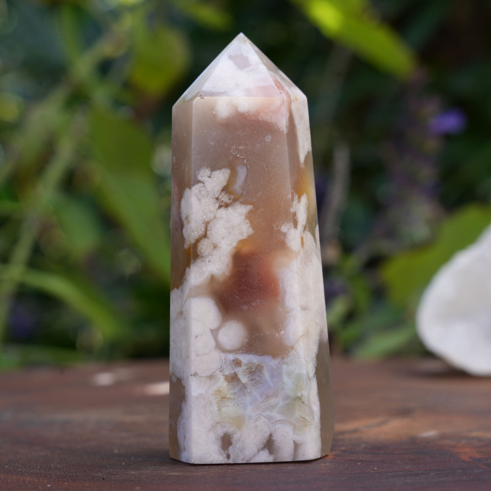 
                  
                    Flower Agate Points | Reiki Infused
                  
                