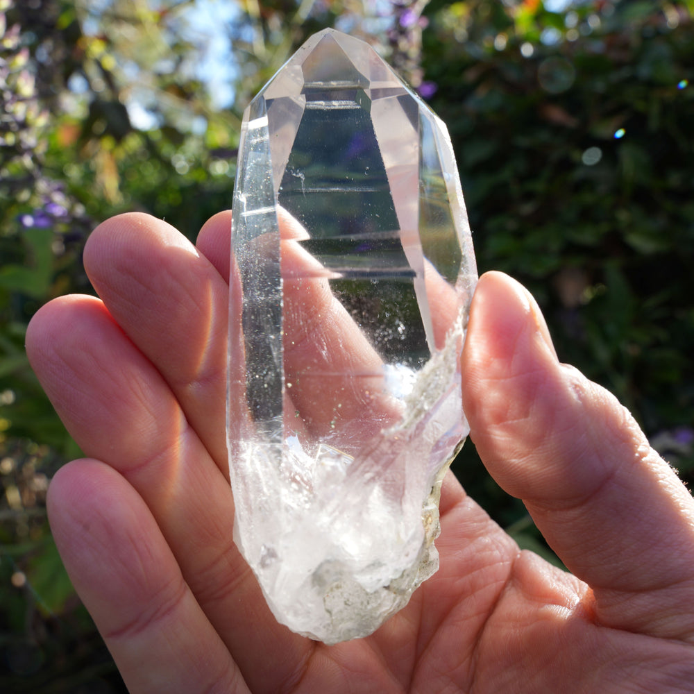 
                  
                    AAA Grade Lemurian Star Seed Quartz Wands | Reiki Infused
                  
                