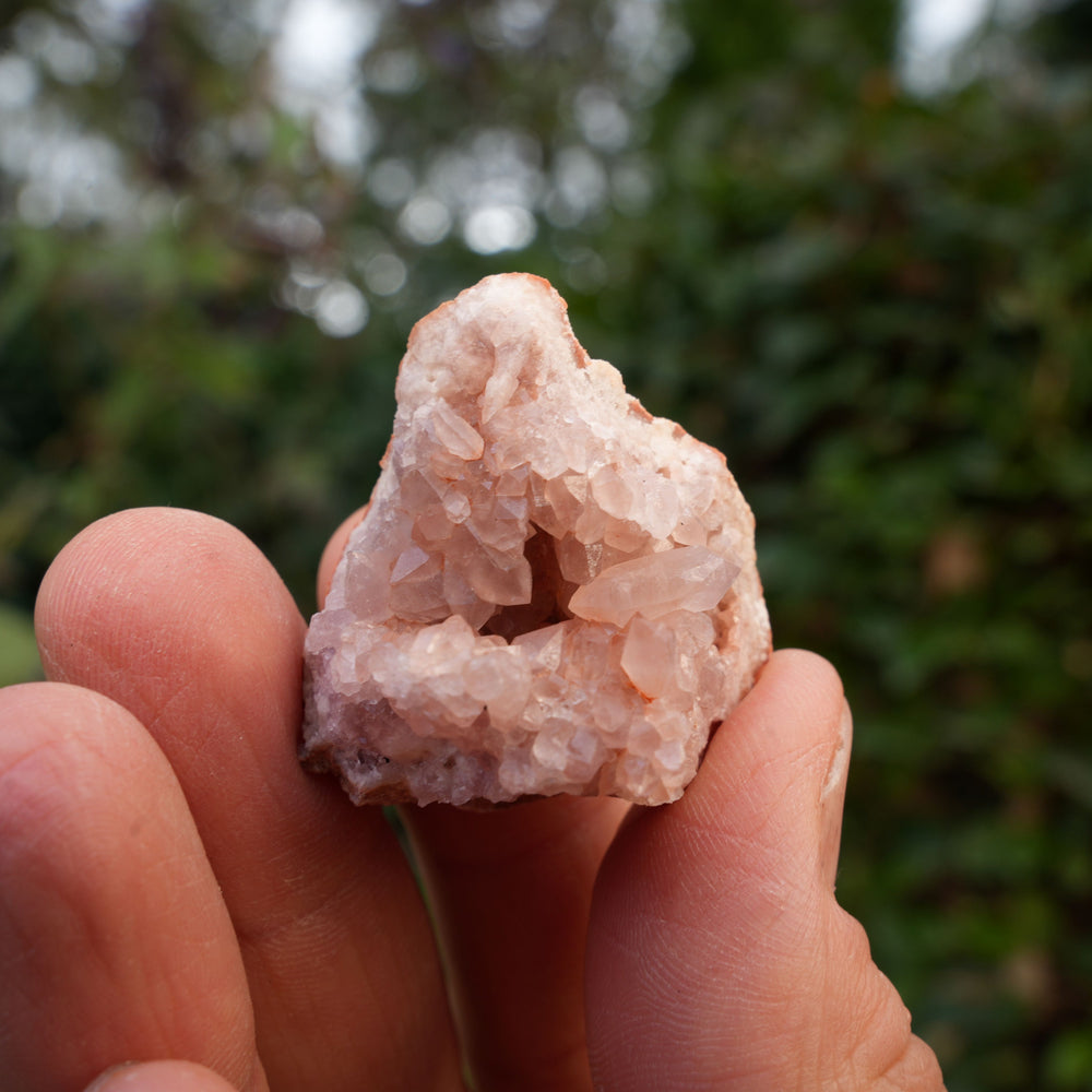 
                  
                    Small Pink Amethyst Clusters | Reiki Infused
                  
                