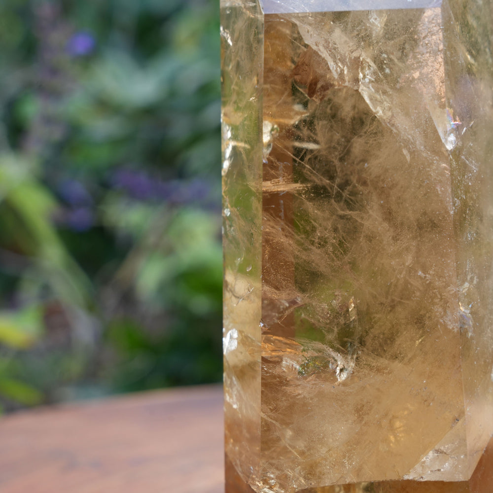 
                  
                    AA Grade Natural Citrine Tower | Reiki Infused
                  
                