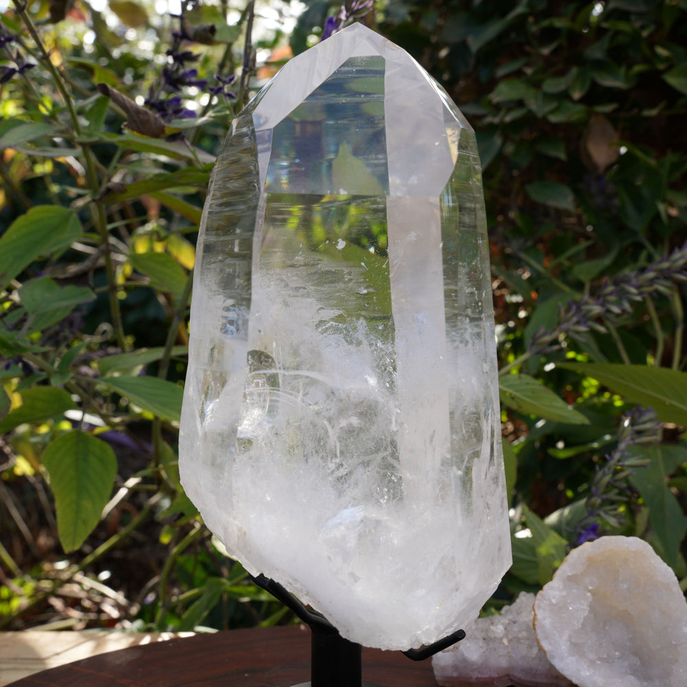 
                  
                    AAA Grade Large Lemurian Star Seed Quartz on Rotating Stand | Reiki Infused
                  
                