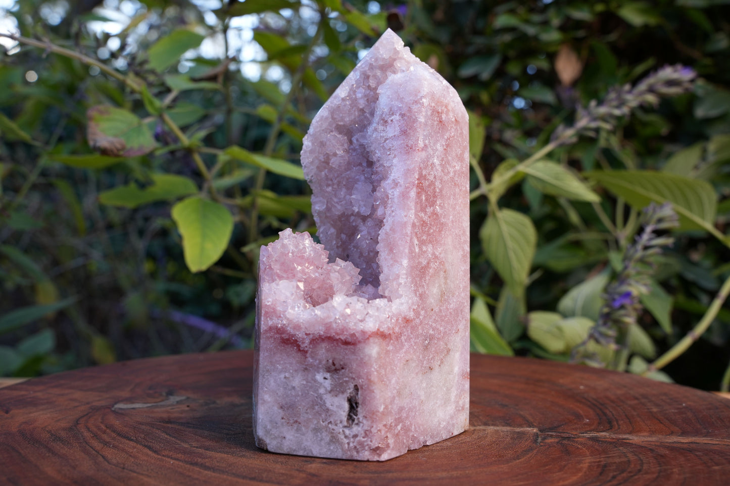 High Grade Druzy Pink Amethyst Tower | Reiki Infused