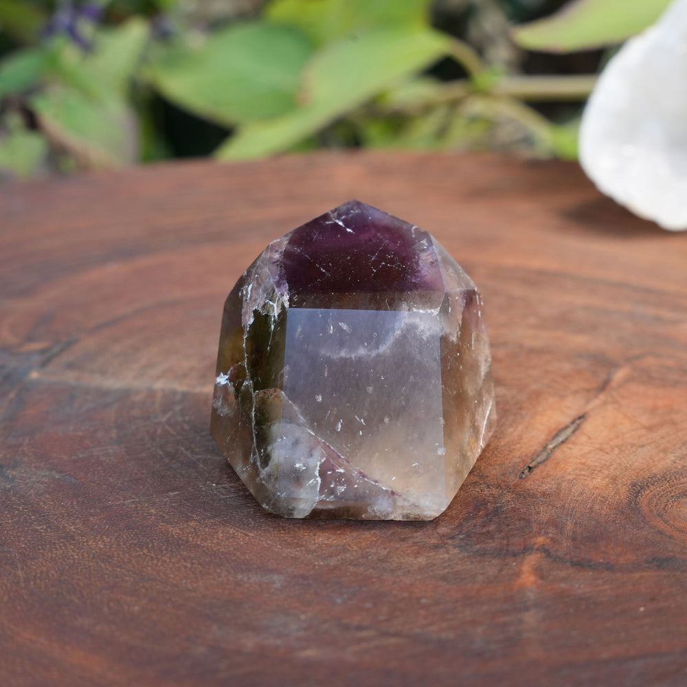 
                  
                    Small Deep Purple Amethyst Dream Coat Lemurian Freeforms | Reiki Infused
                  
                