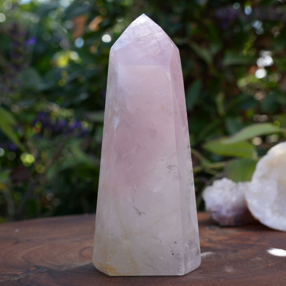 
                  
                    High Grade Rose Quartz Girasol Towers | Reiki Infused
                  
                