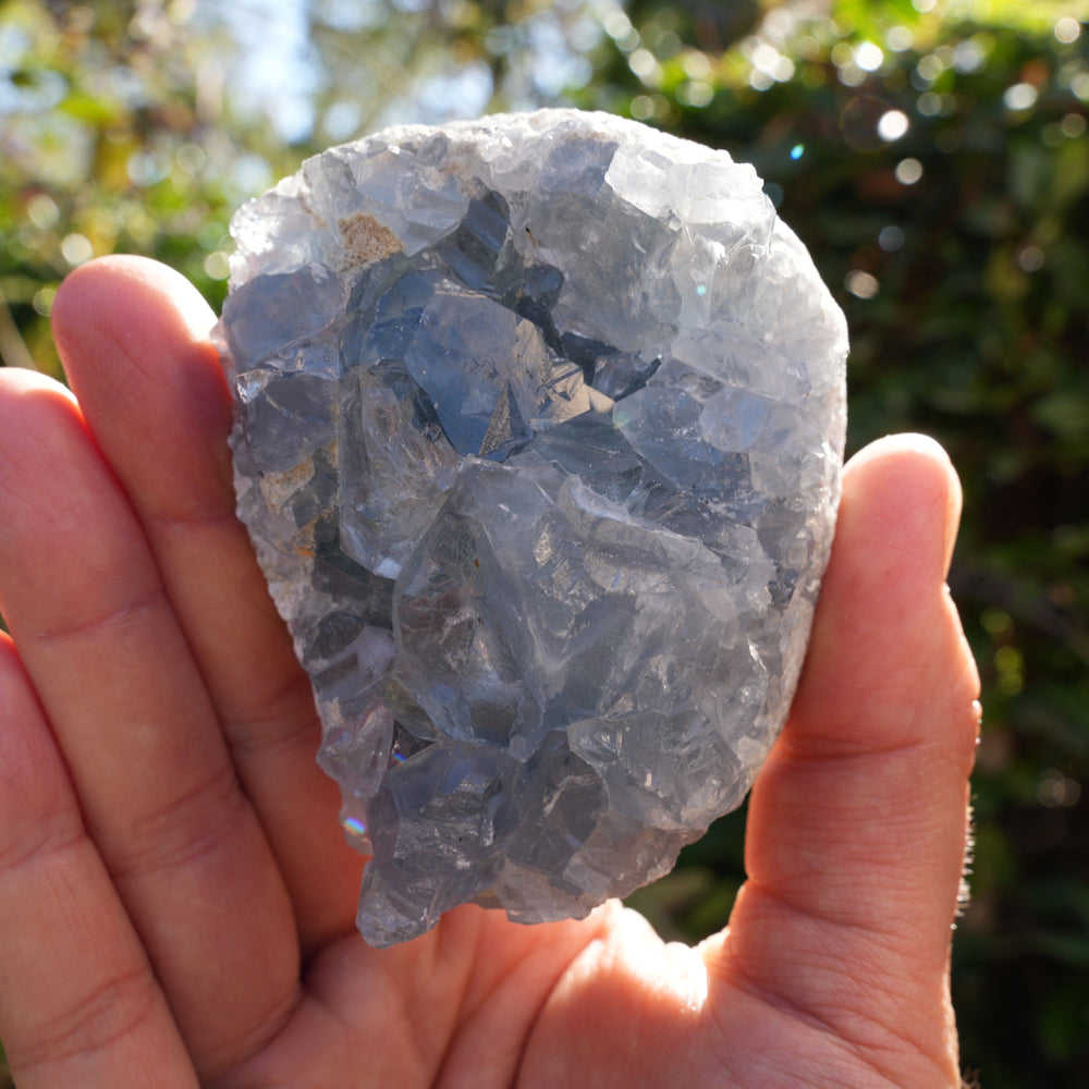 
                  
                    High Quality Celestite Clusters | Reiki Infused
                  
                