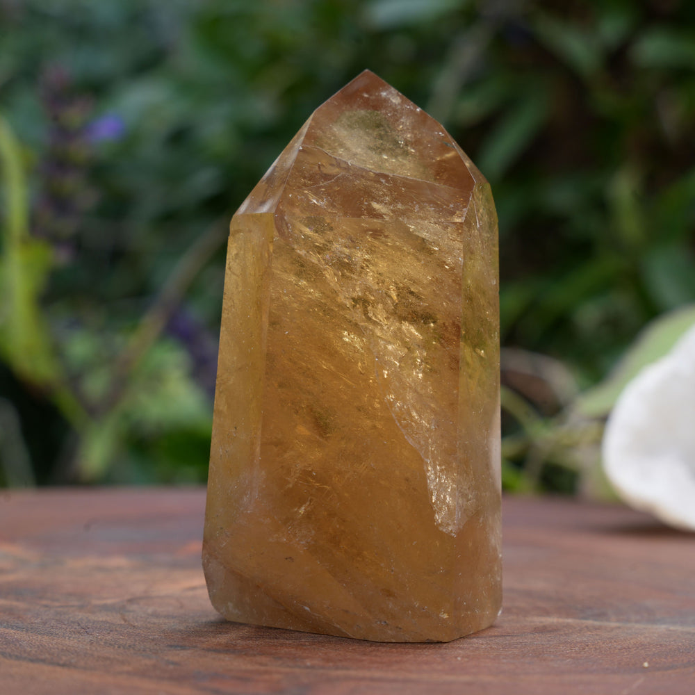 
                  
                    AA+ Grade Natural Citrine Towers | Reiki Infused
                  
                
