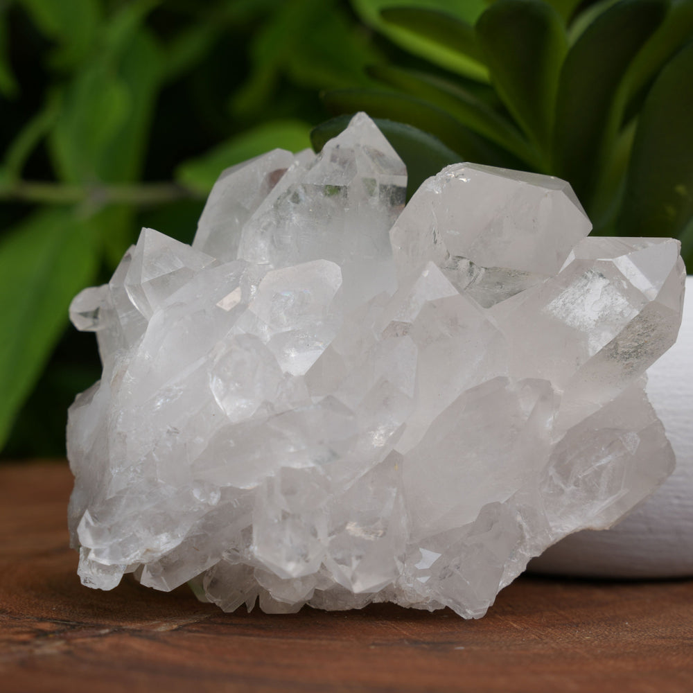 
                  
                    High Grade | Clear Quartz Clusters | Reiki Infused
                  
                