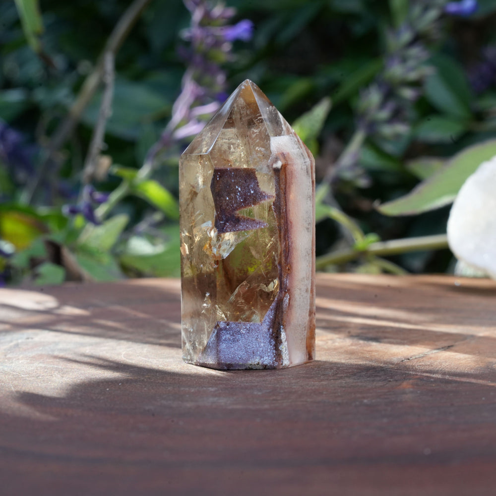 
                  
                    Small Dream Coat Lemurian Freeforms | Reiki Infused
                  
                