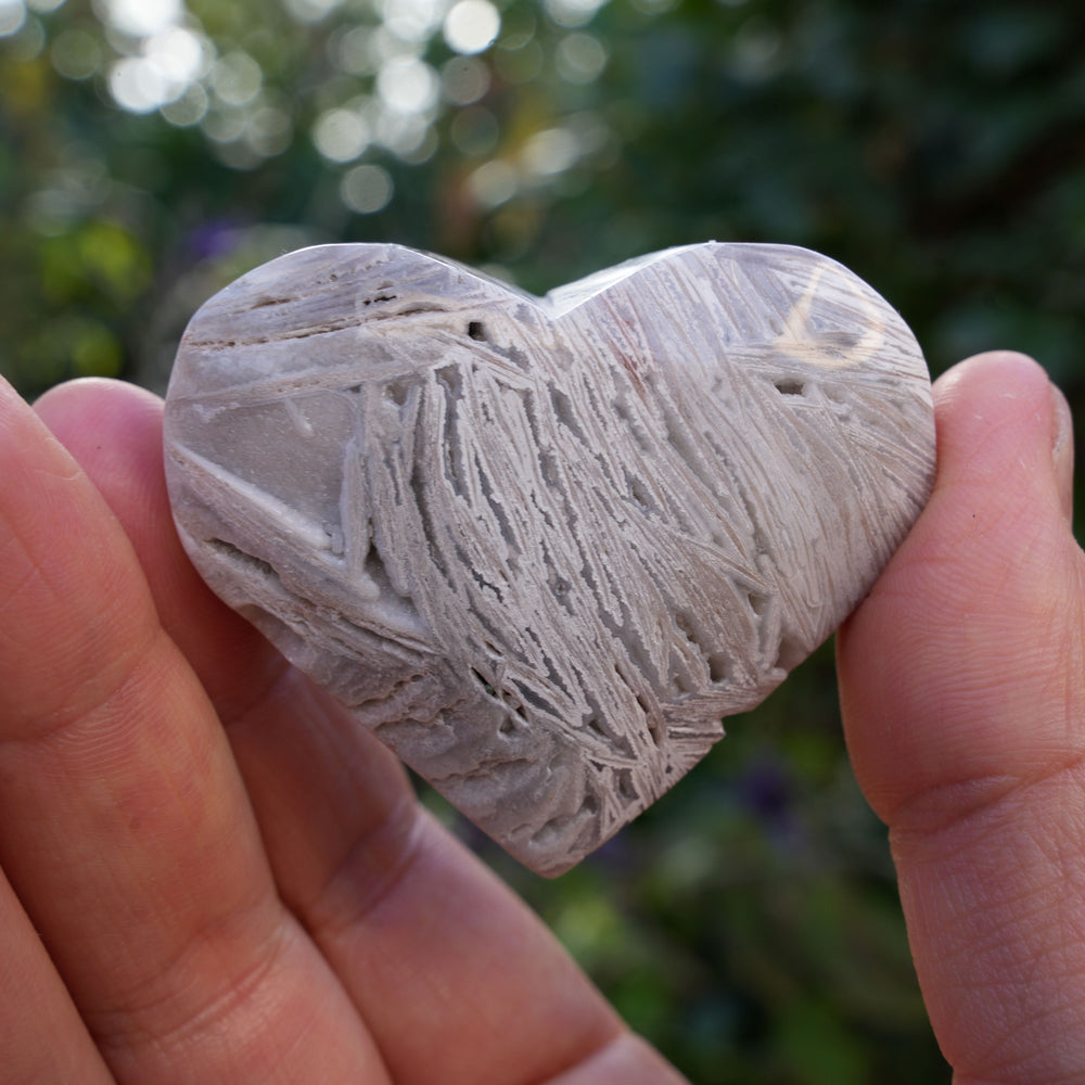 
                  
                    Mexican Crazy Lace Agate Hearts | Reiki Infused
                  
                