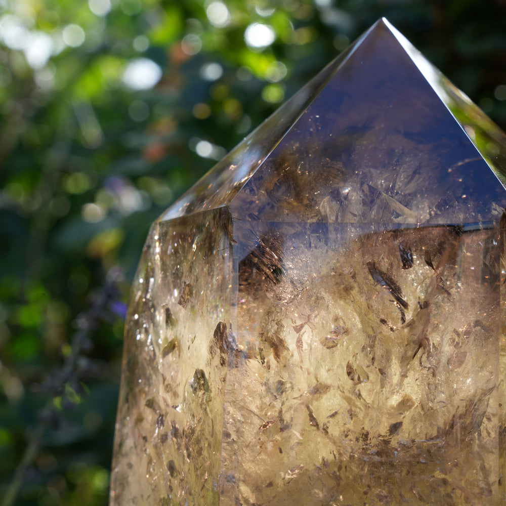 
                  
                    Giant Smoky Natural Citrine Generator | On Rose Gold Stand | Reiki Infused
                  
                
