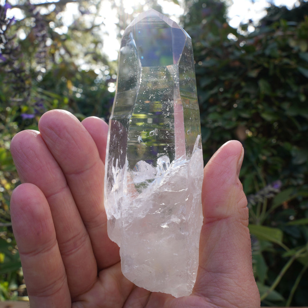 
                  
                    High Grade Star Seed Lemurian Wands | Reiki Infused
                  
                