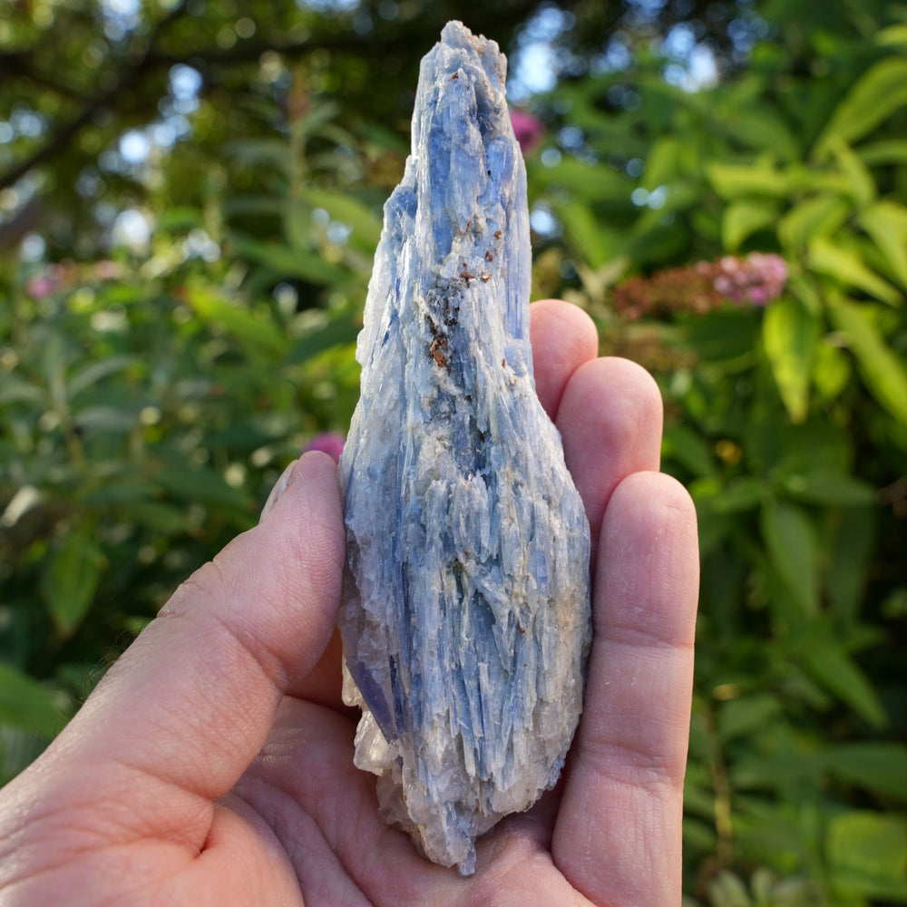 
                  
                    Raw Kyanite in Quartz | High Grade | Reiki Infused
                  
                