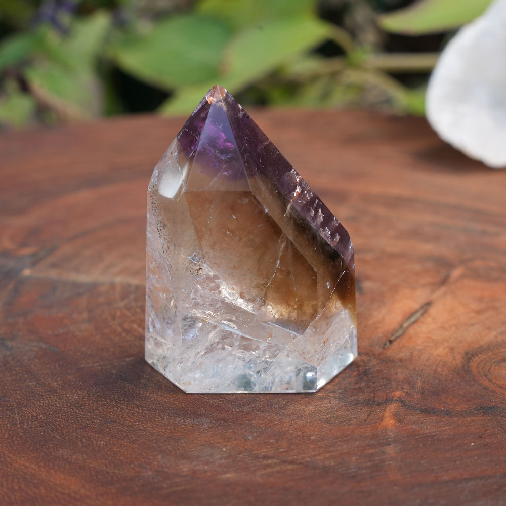 
                  
                    Small Deep Purple Amethyst Dream Coat Lemurian Freeforms | Reiki Infused
                  
                