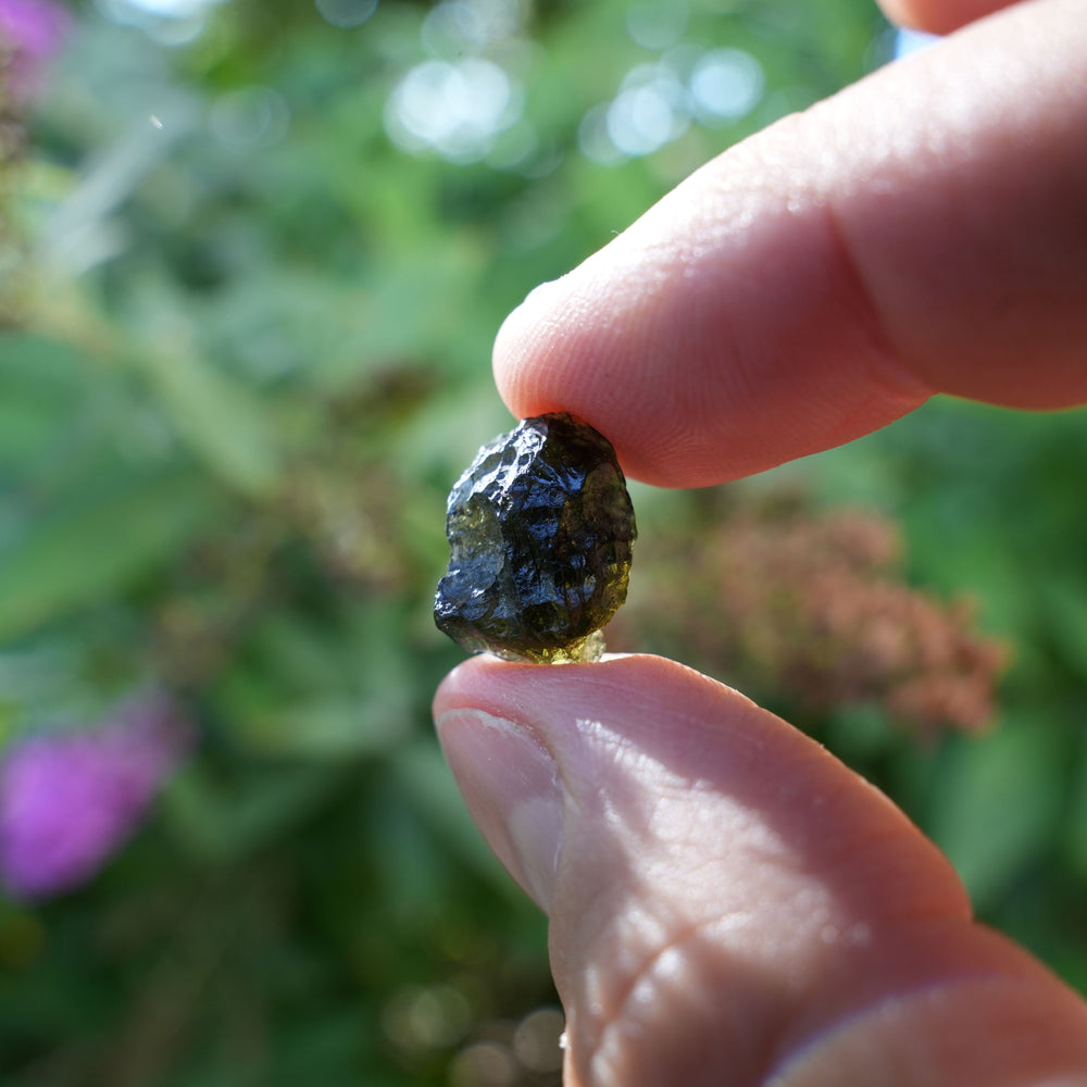 
                  
                    Raw Authentic Moldavite | AAA Grade | Reiki Infused
                  
                