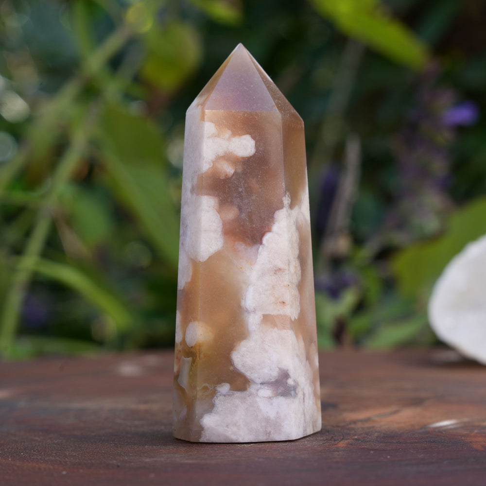 
                  
                    Flower Agate Points | Reiki Infused
                  
                