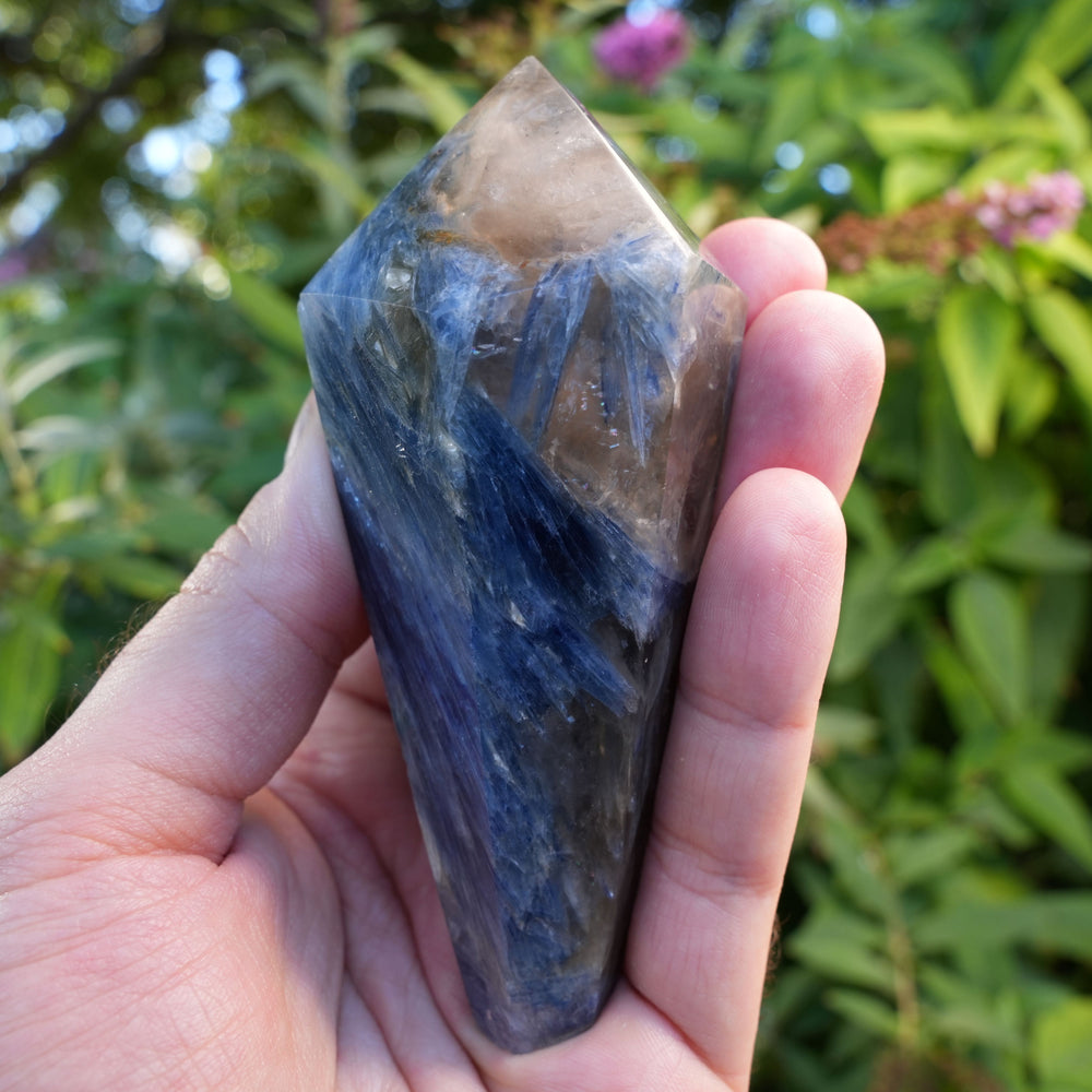 
                  
                    Kyanite Wands | High Grade | Reiki Infused
                  
                