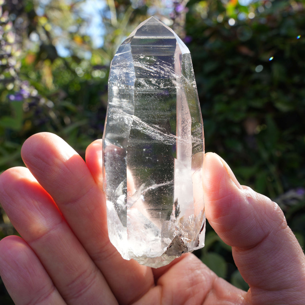 
                  
                    AAA Grade Lemurian Star Seed Quartz Wands | Reiki Infused
                  
                