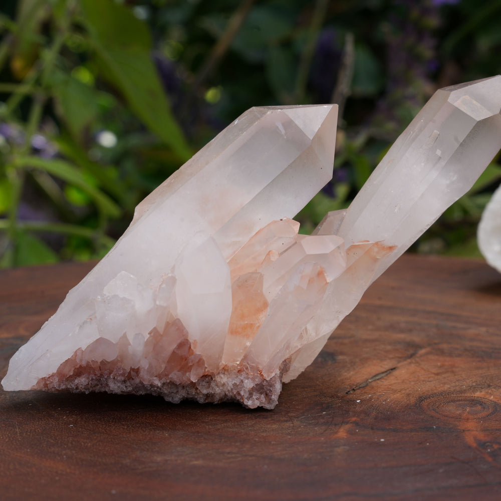
                  
                    Quarts Clusters | Reiki Infused
                  
                