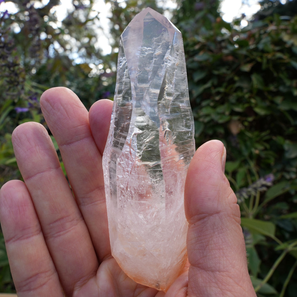 
                  
                    AA+ Grade Star Seed Lemurian Wands | Reiki Infused
                  
                