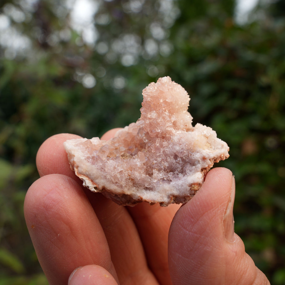 
                  
                    Small Pink Amethyst Clusters | Reiki Infused
                  
                