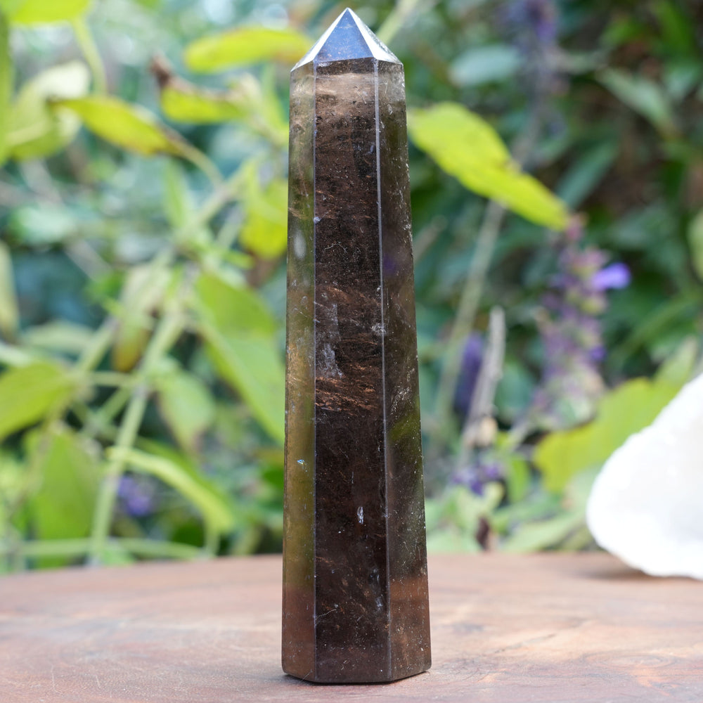 
                  
                    Smoky Quartz Points | Reiki Infused
                  
                