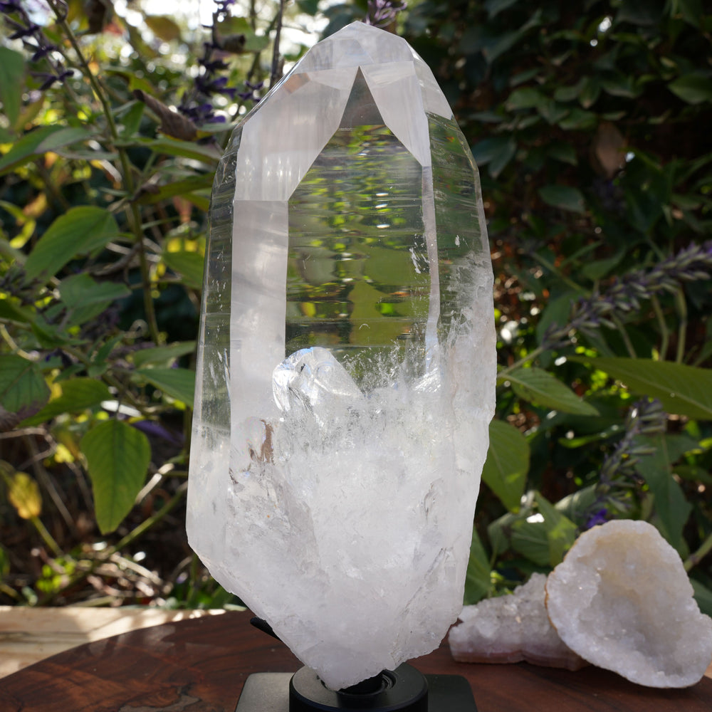 
                  
                    AAA Grade Large Lemurian Star Seed Quartz on Rotating Stand | Reiki Infused
                  
                