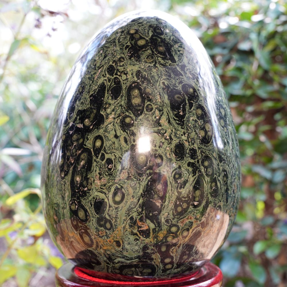 Giant Kambaba Jasper Egg | Reiki Infused