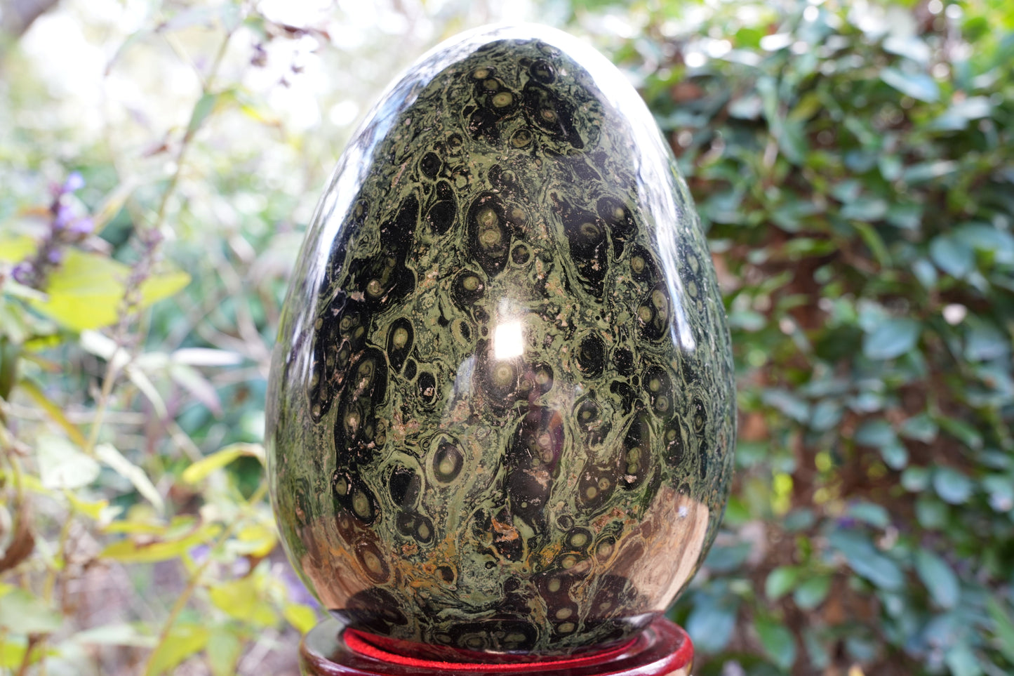 Giant Kambaba Jasper Egg | Reiki Infused