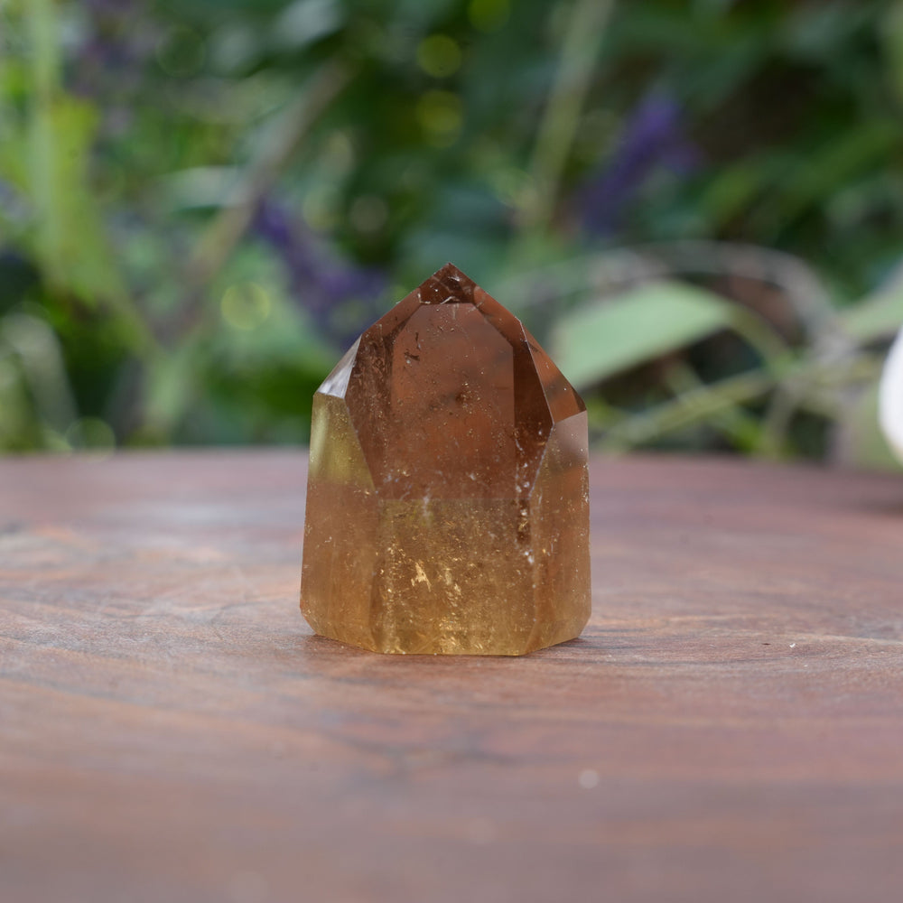 
                  
                    Mini AAA Grade Natural Citrine Towers | Reiki Infused
                  
                