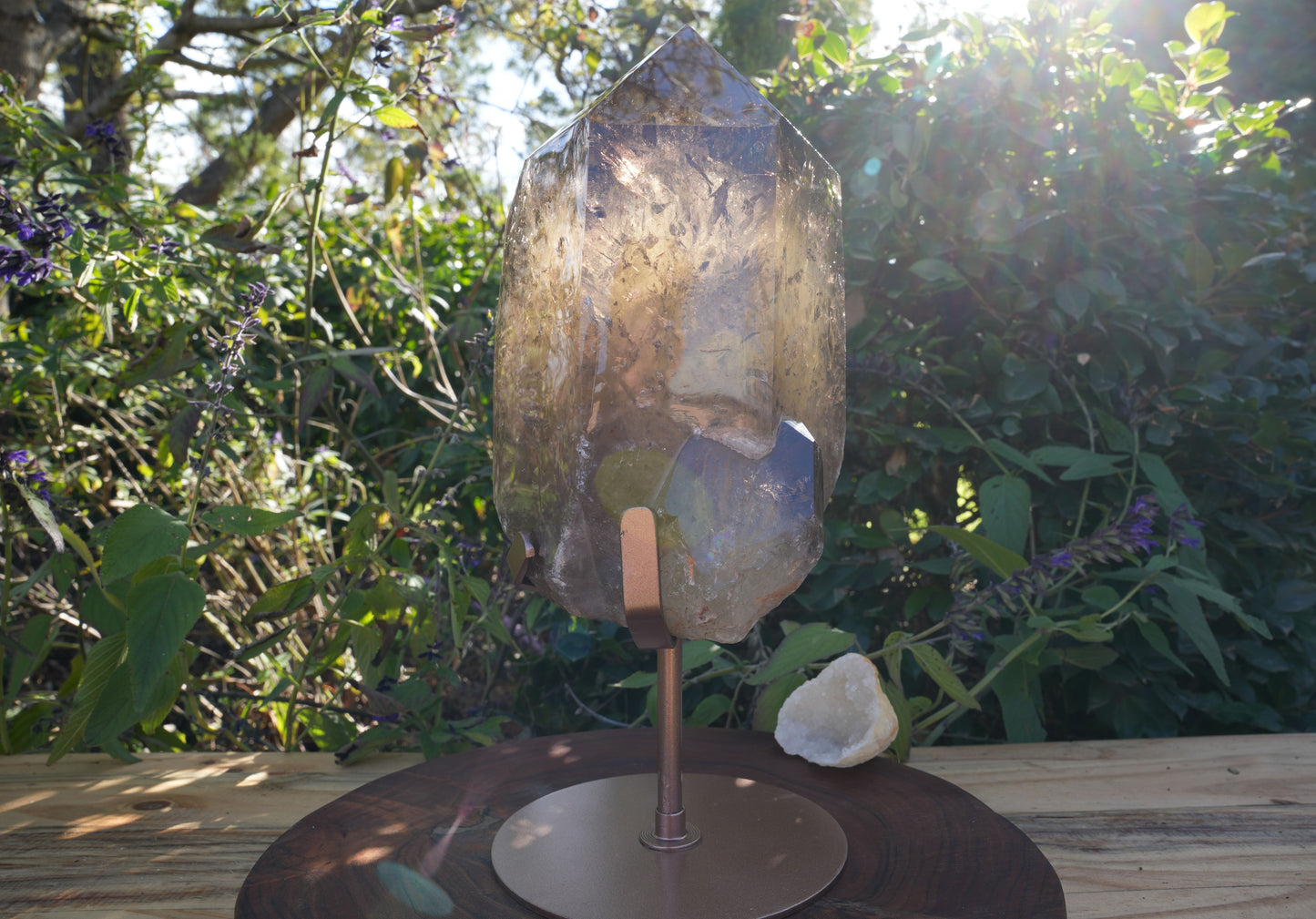 Giant Smoky Natural Citrine Generator | On Rose Gold Stand | Reiki Infused