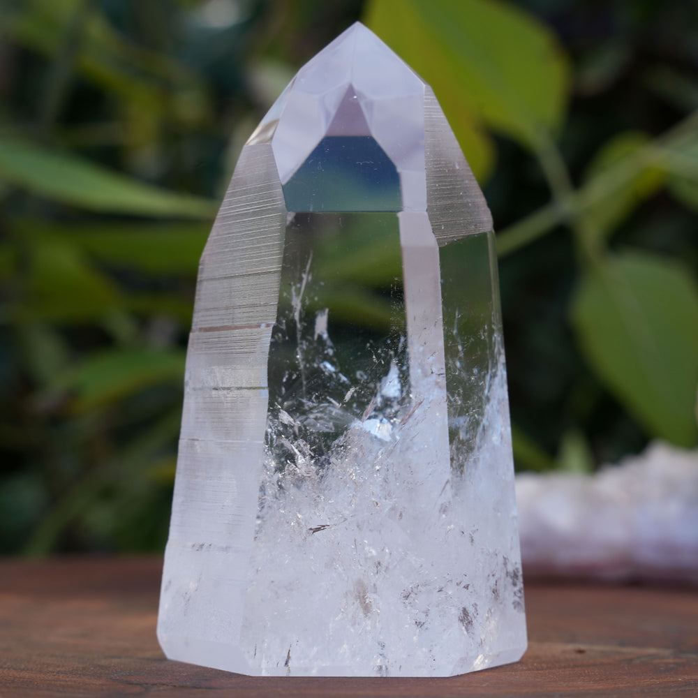 
                  
                    AA+ Grade Star Seed Lemurian Towers | Reiki Infused
                  
                