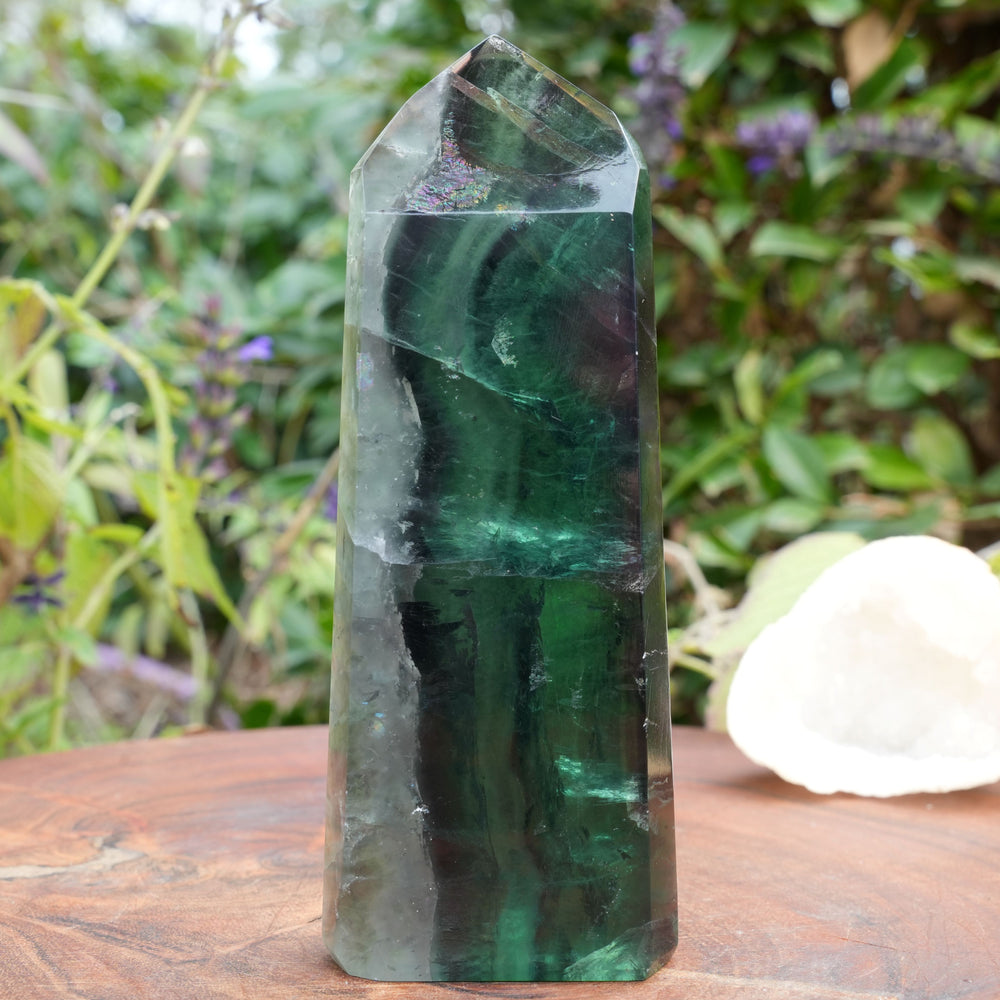 
                  
                    High Grade Fluorite Towers | Reiki Infused
                  
                