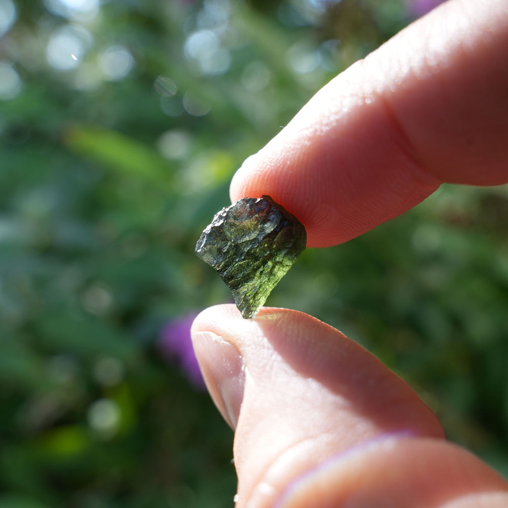 
                  
                    Raw Authentic Moldavite | AAA Grade | Reiki Infused
                  
                