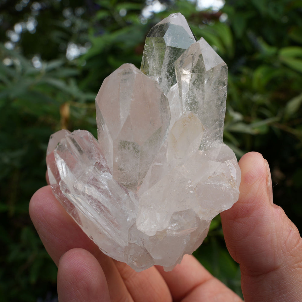 
                  
                    High Grade | Clear Quartz Clusters | Reiki Infused
                  
                