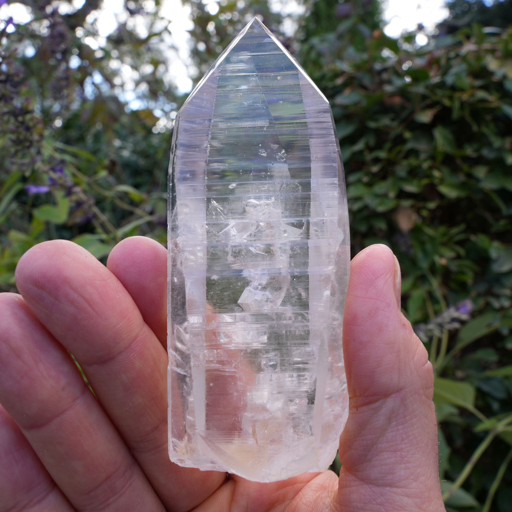 
                  
                    AA+ Grade Star Seed Lemurian Wands | Reiki Infused
                  
                