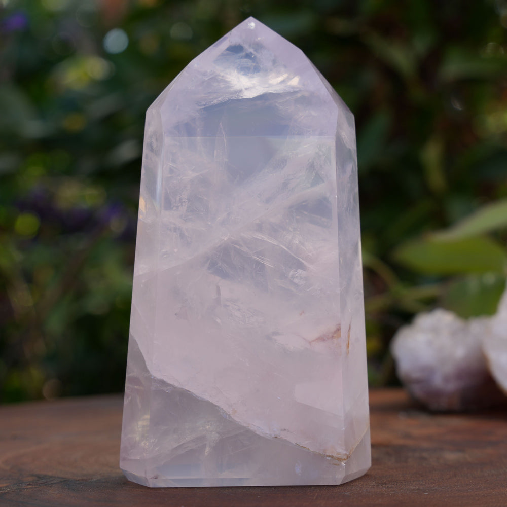
                  
                    High Grade Rose Quartz Girasol Towers | Reiki Infused
                  
                