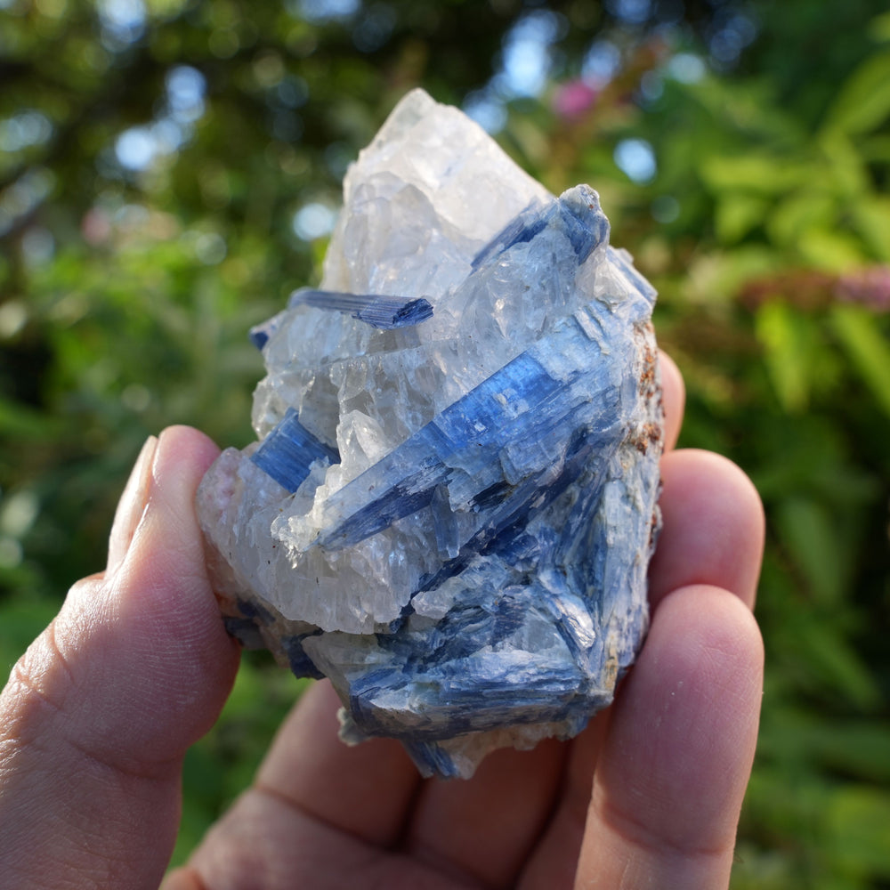 
                  
                    Raw Kyanite in Quartz | High Grade | Reiki Infused
                  
                