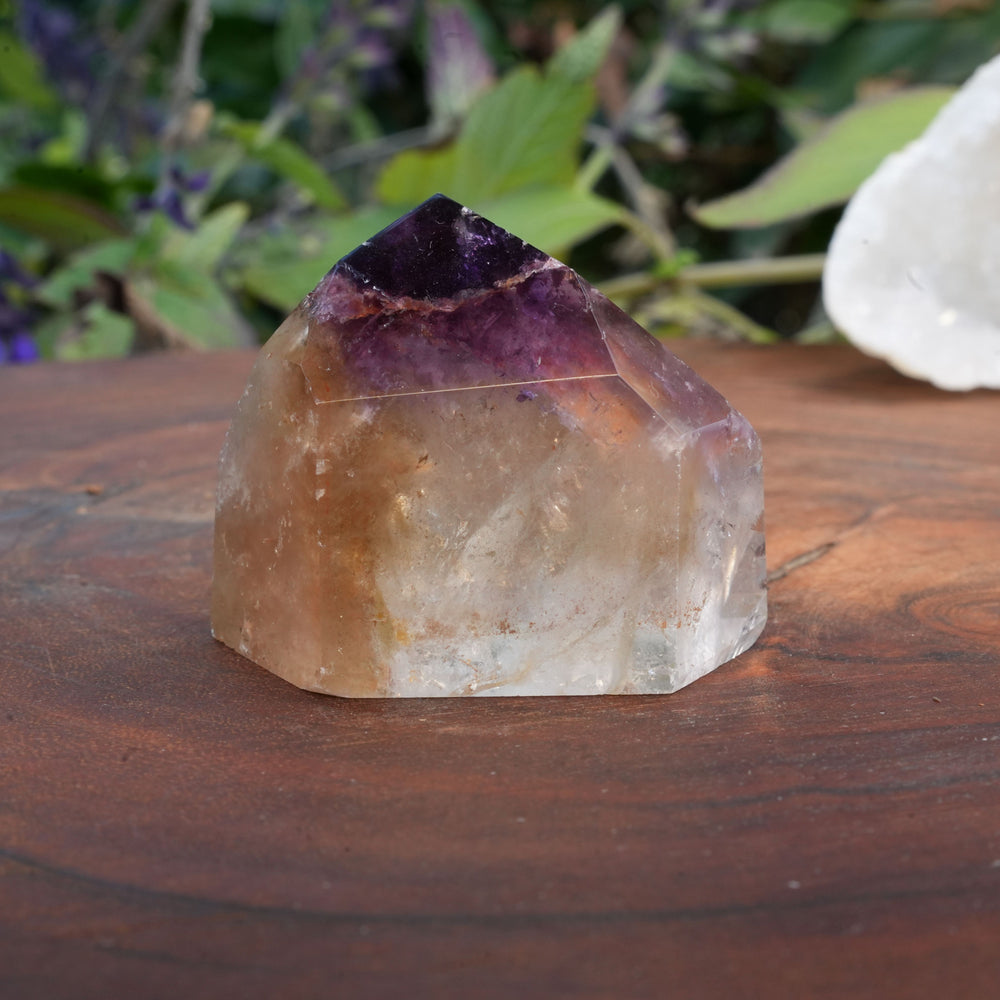 
                  
                    Medium Dream Coat Lemurian Freeforms | Reiki Infused
                  
                