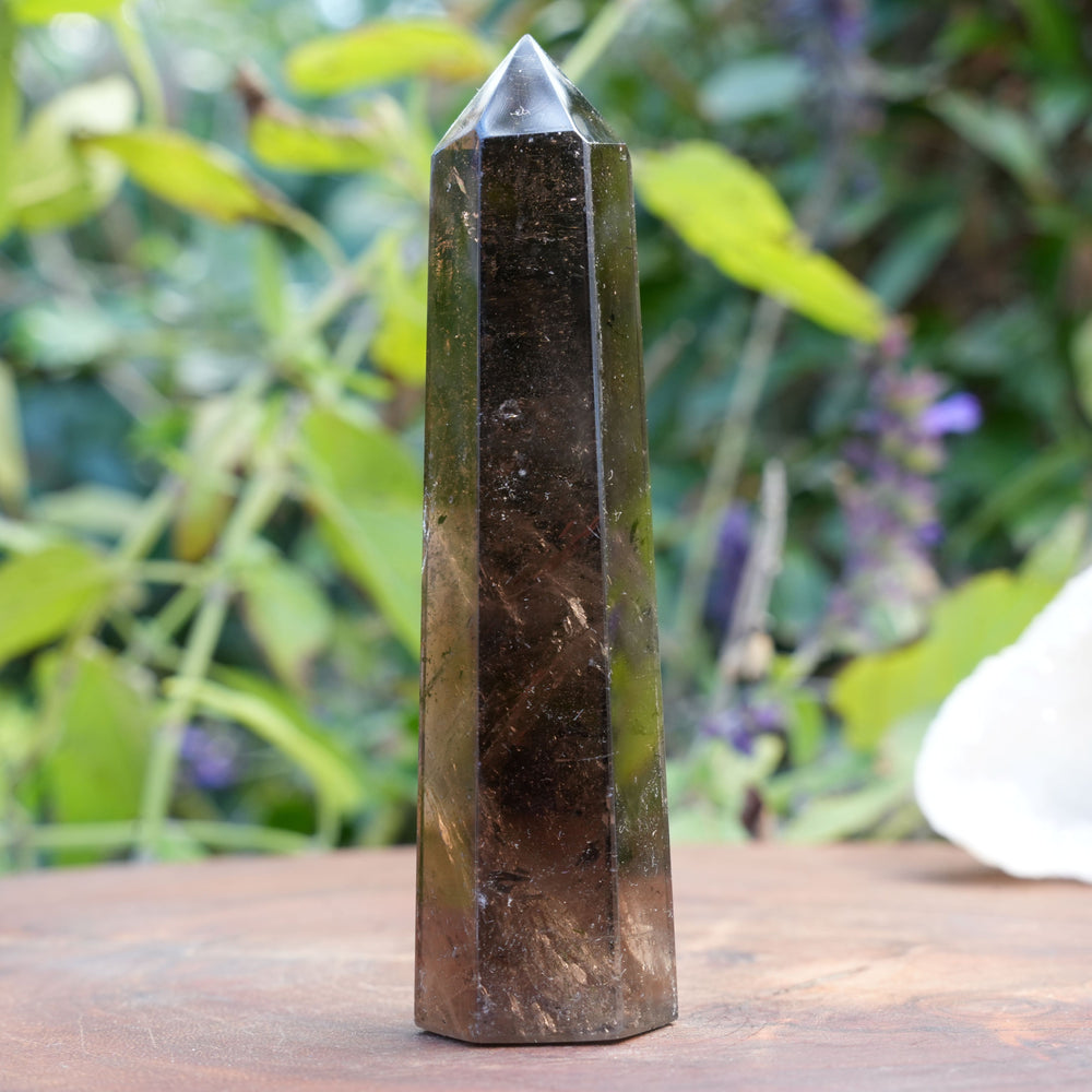 
                  
                    Smoky Quartz Points | Reiki Infused
                  
                
