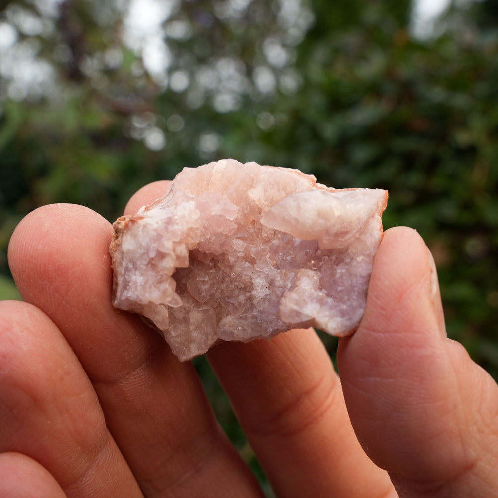 
                  
                    Small Pink Amethyst Clusters | Reiki Infused
                  
                