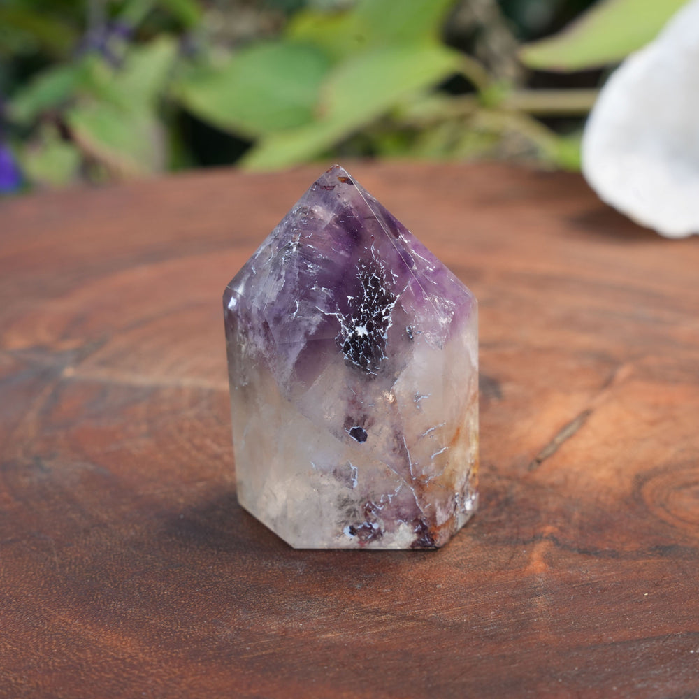 
                  
                    Small Deep Purple Amethyst Dream Coat Lemurian Freeforms | Reiki Infused
                  
                