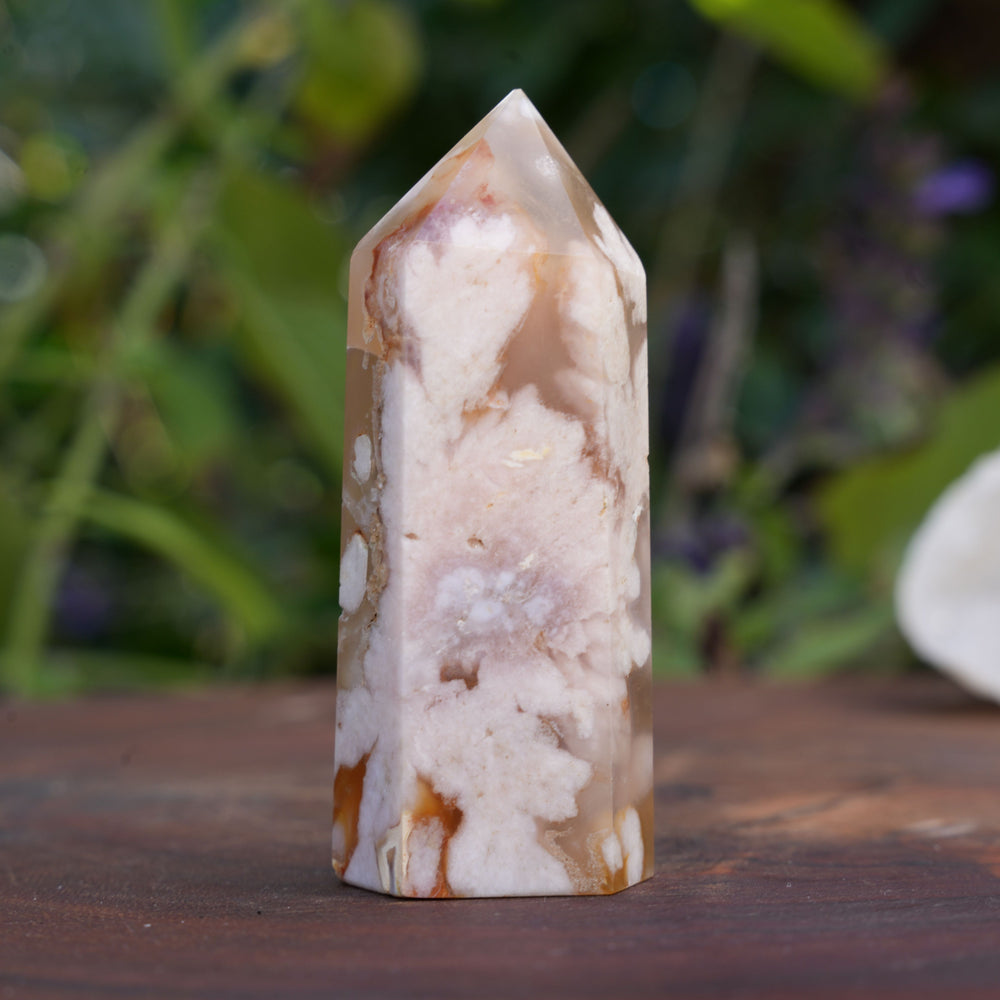 
                  
                    Flower Agate Points | Reiki Infused
                  
                