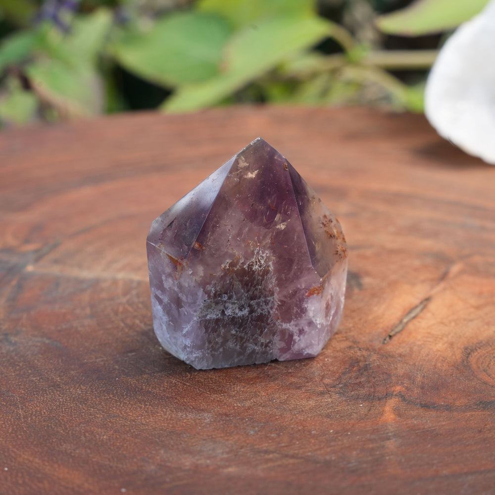 
                  
                    Small Deep Purple Amethyst Dream Coat Lemurian Freeforms | Reiki Infused
                  
                