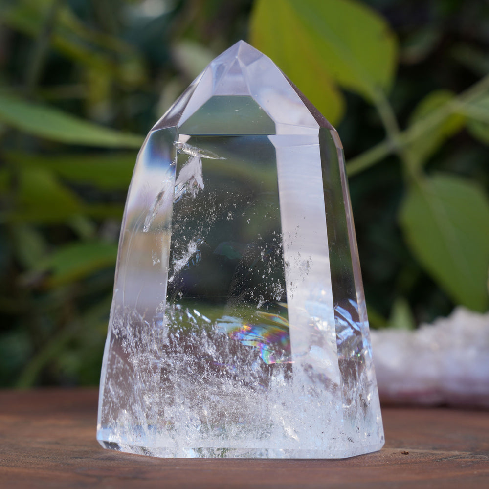 
                  
                    AA+ Grade Star Seed Lemurian Towers | Reiki Infused
                  
                