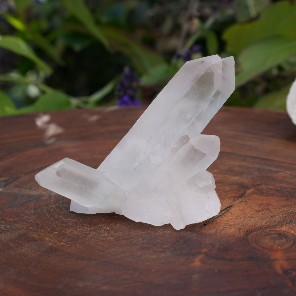 
                  
                    Quarts Clusters | Reiki Infused
                  
                