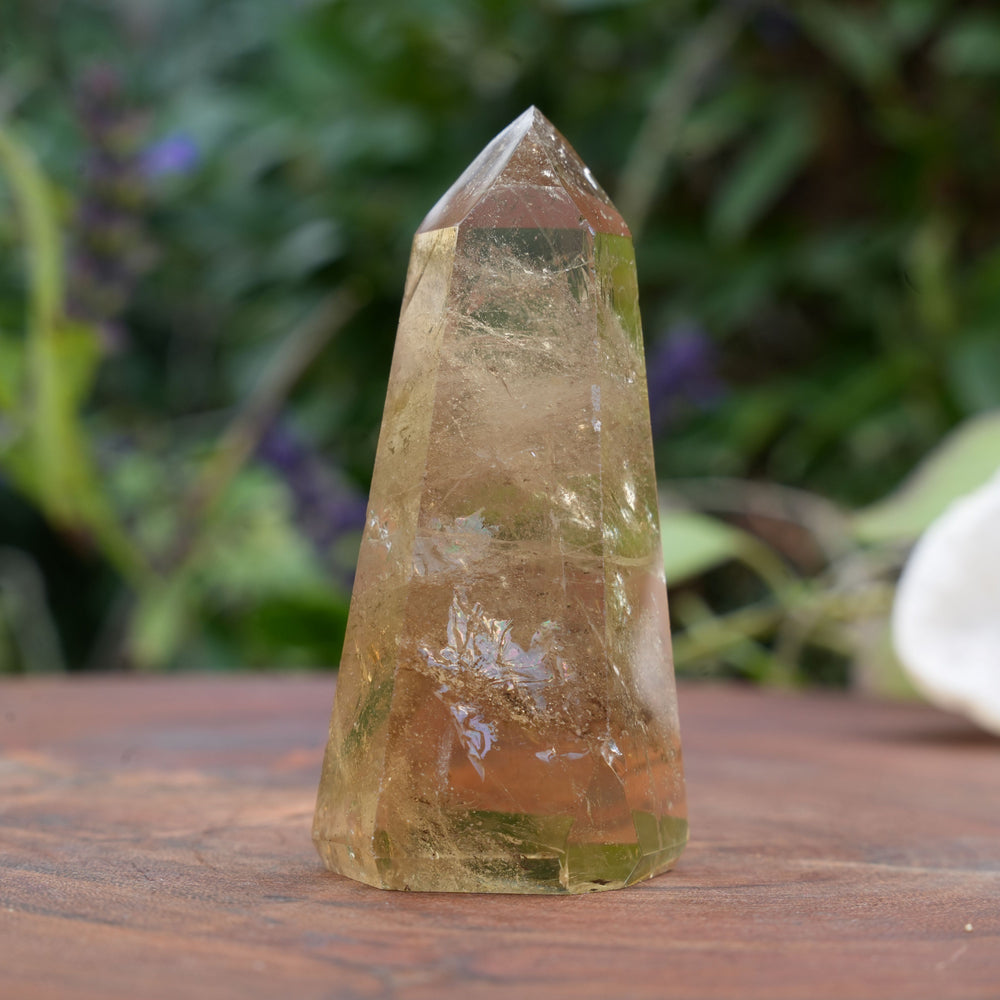 
                  
                    AA+ Grade Natural Citrine Towers | Reiki Infused
                  
                
