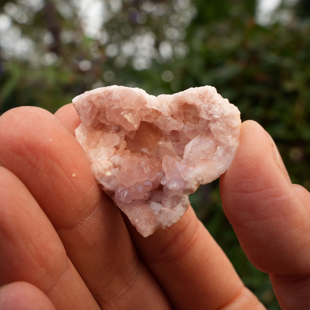 
                  
                    Small Pink Amethyst Clusters | Reiki Infused
                  
                