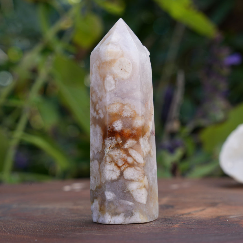 
                  
                    Flower Agate Points | Reiki Infused
                  
                