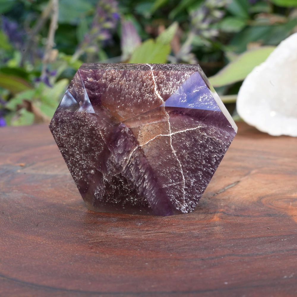 
                  
                    Medium Dream Coat Lemurian Freeforms | Reiki Infused
                  
                