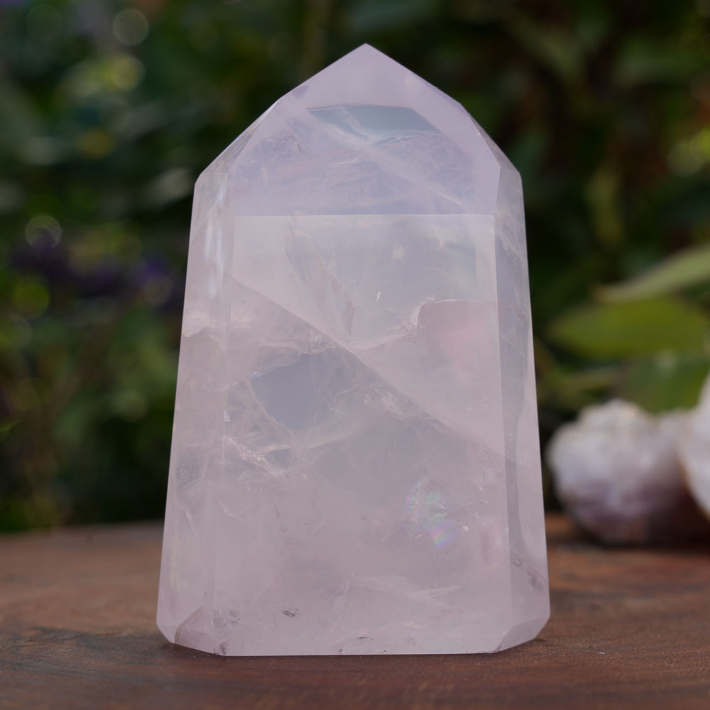
                  
                    High Grade Rose Quartz Girasol Towers | Reiki Infused
                  
                
